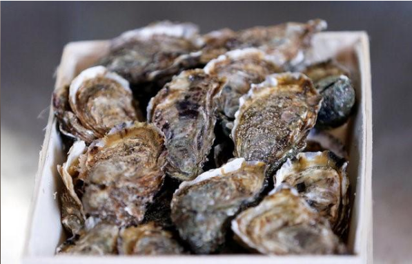 Oysters Vending Machine
