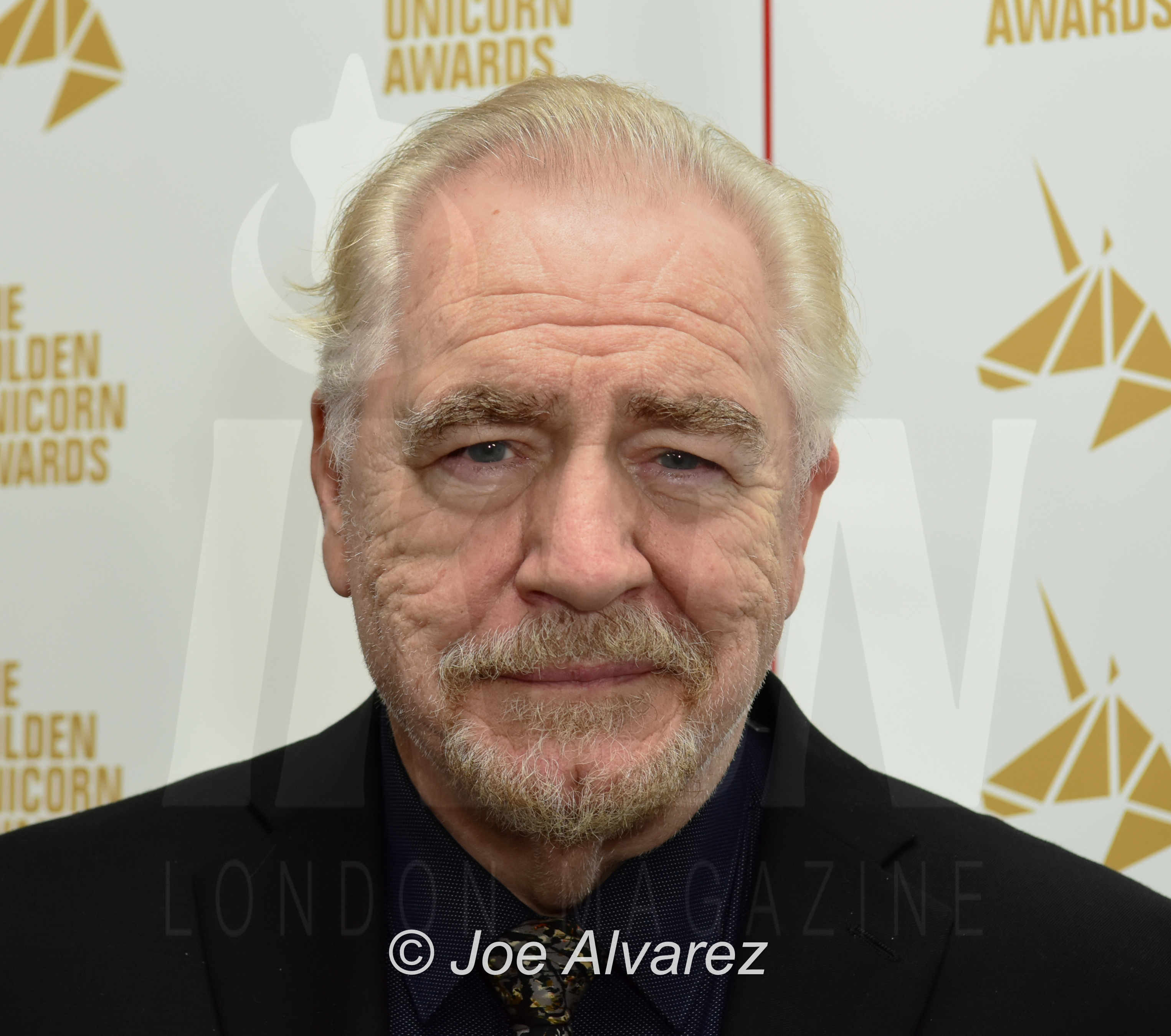 Brian Cox The Golden Unicorn Awards 2018 © JOE ALVAREZ