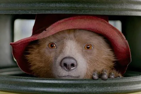 Paddington in Peru launch day; Studiocanal