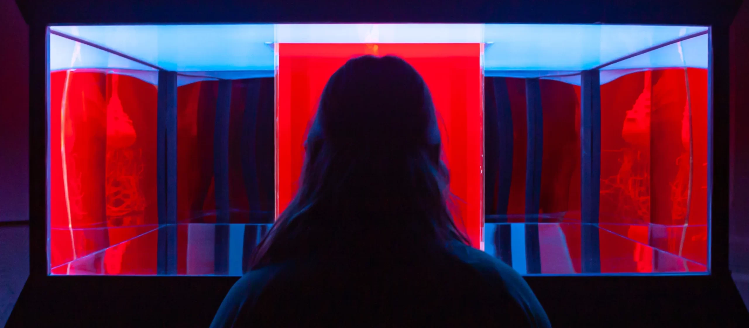 Origin Installation by Punchdrunk Creatives